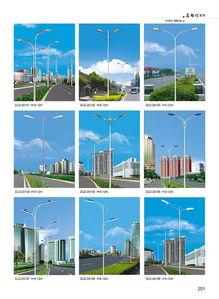 景诚厂直销2015年新款DLD兰州路灯与庭院灯 点亮城市与家园的节能之选