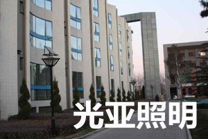 太阳能庭院灯厂 绿色照明与高效节能的完美融合